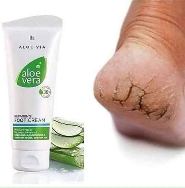 Алое Вера відновлювальний крем для ніг Aloe Via LR (Aloe Vera foot cream) фото