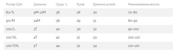Костюм-тройка с медведем (Серый110см) фото