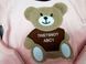 Костюм-трійка Bear світло-рожевий , розмір 95 che_1574_95 фото 5