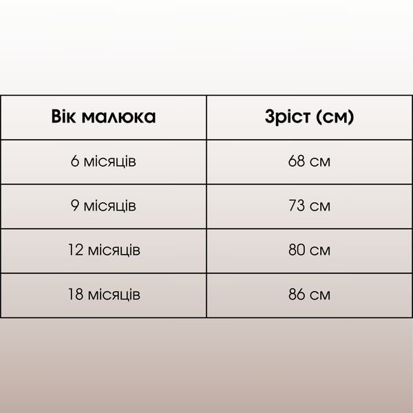 Детский праздничный костюм джентльмен с бабочкой Murat Baby &ndash; комплект для мальчика (пиджак, рубашка, брюки, бабочка), Темно бежевый, 9м, 73см фото