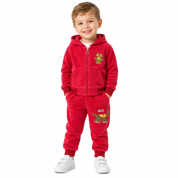 Костюм-трійка теплий, малиновий Brand, 80 см, 1 рік фото