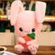 Іграшка дитяча м'яка NiceRabbit Рожевий 35см 20310 фото