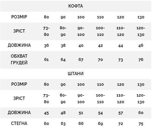 Костюм дитячий флісовий утеплений (Синій 120см) фото