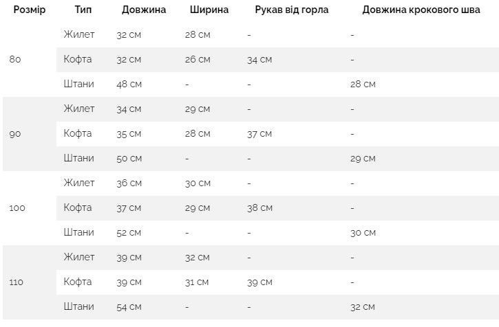 Костюм-трійка теплий Bule Baby коричневий, 90 см фото