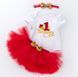 Боді дитяче 1st Birthday 80см Рожевий (4871) 4871-80см-Розовый фото 2