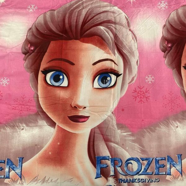 Полуторний комплект постільної білизни для дівчинки Ельза Frozen Tnanksgiving Фланель 150х220 см фото