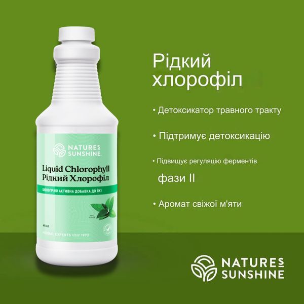 Хлорофилл жидкий (Liquid Chlorophyll) NSP, 476 мл фото
