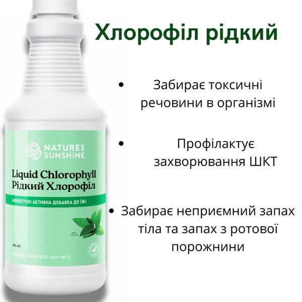 Хлорофилл жидкий (Liquid Chlorophyll) NSP, 476 мл фото