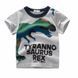 Футболка детская Dinosaur (Серый 100см) фото