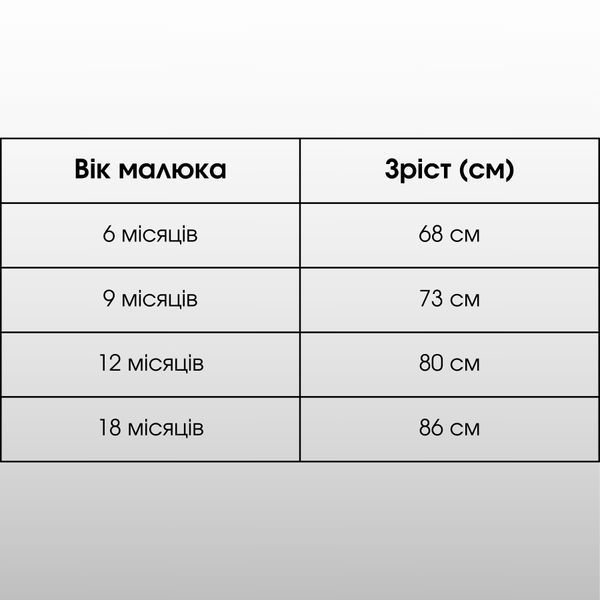 Дитячий святковий костюм джентльмен з метеликом Murat Baby - комплект для хлопчика (піджак, сорочка, штани, метелик), Сірий, 18м, 86см фото