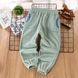 Штани дитячі флісові Baby Basic (Зелений 120см) 13549-120см-Зелений фото 1