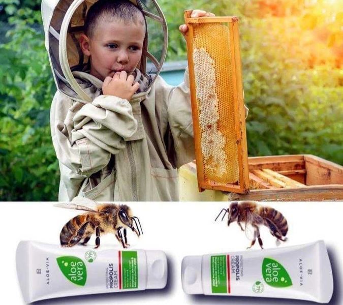 Алоэ Вера 79% Защитный крем с прополисом LR Aloe Via, 100 мл фото