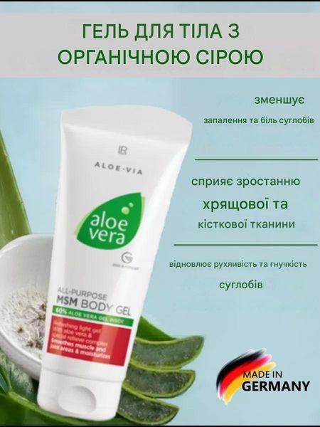 Aloe Vera 60% MSM гель для тела с органической серой LR Health & Beauty, 200 мл фото