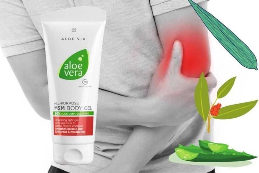 Aloe Vera 60% MSM гель для тела с органической серой LR Health & Beauty, 200 мл фото