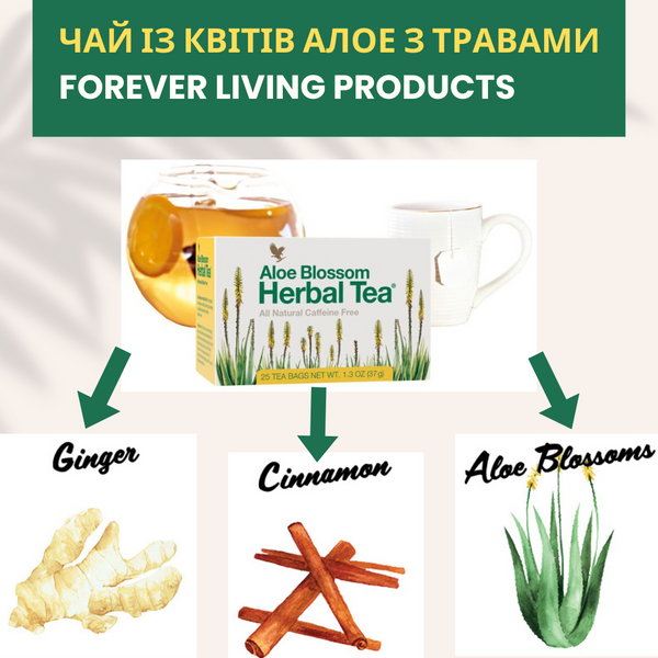 Чай из цветов алоэ с травами Forever Living Products фото