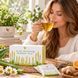 Чай из цветов алоэ с травами Forever Living Products FLP200 фото 4