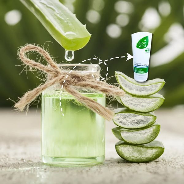 Освіжаючий гель для душу Aloe Vera (ALOE VIA) LR Health & Beauty, 250 мл фото