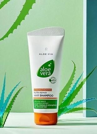 Відновлюючий шампунь для волосся Aloe Vera (ALOE VIA) LR Health & Beauty, 200 мл фото