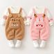 Костюм детский двойка теплый Rabbit (Коричневый 100см) 12598-100см-Коричневый фото 3