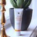 Крем з алое та прополісом Forever Living (Aloe Propolis Creme), 113 g FLP051 фото 5