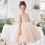 Сукня-принцеса шампань для дівчинки 110 см 3105-110см-шампань фото