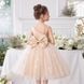 Сукня-принцеса шампань для дівчинки 110 см 3105-110см-шампань фото 2