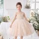 Сукня-принцеса шампань для дівчинки 110 см 3105-110см-шампань фото 3