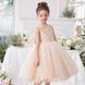 Сукня-принцеса шампань для дівчинки 110 см 3105-110см-шампань фото 1